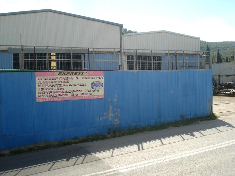 47252.jpg