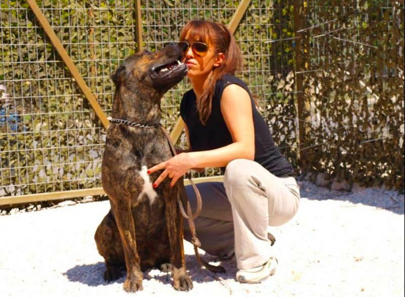 Estel Dogs House - Εκπαίδευση σκύλων - Κορωπί