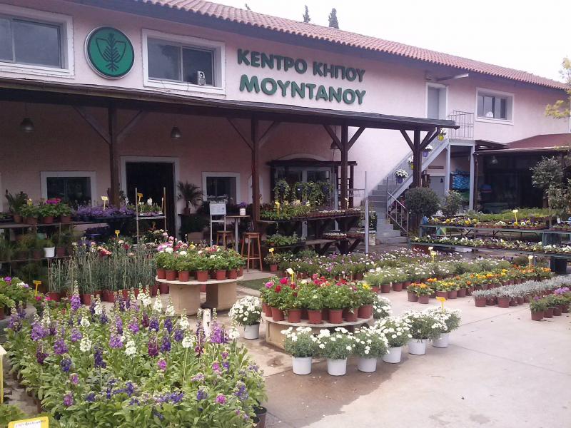 Κέντρο Κήπου Μουντάνου - Σχεδίαση Κατασκευή κήπων - Κηφισιά