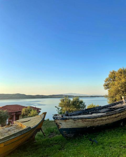 Alkyonari by Maria Ξενοδοχείο
