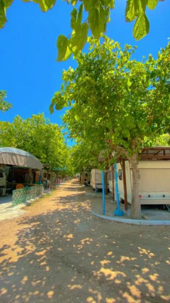 Alyzia Camping