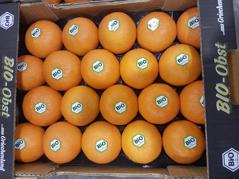 72383.jpgστην πρεβεζα βιολογικα προϊοντα βιοκηπ