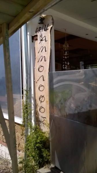 83667.jpg