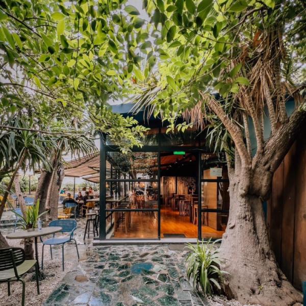 Theory Bar and More Καφετέρια