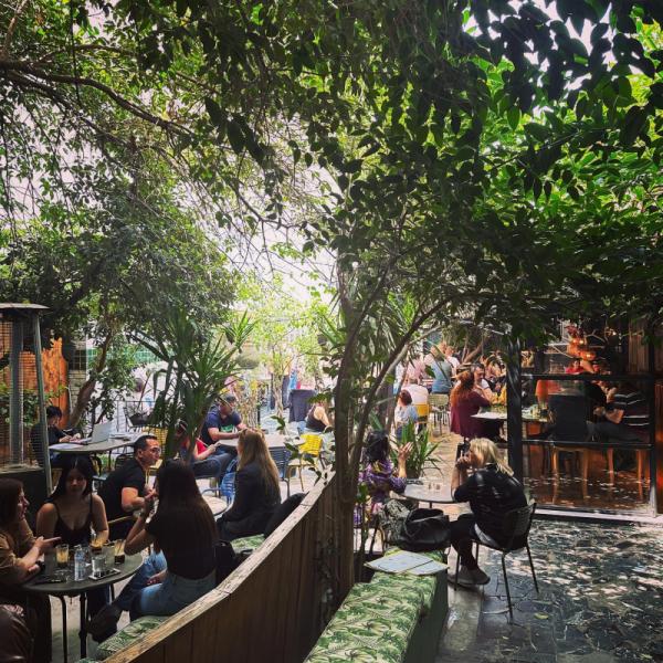 Theory Bar and More Καφετέρια