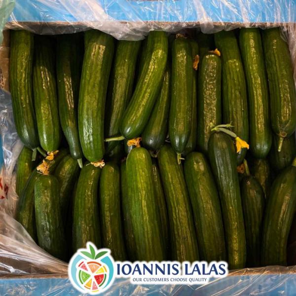 Ιωάννης Λάλας Εμπορία αγροτικών προϊόντων