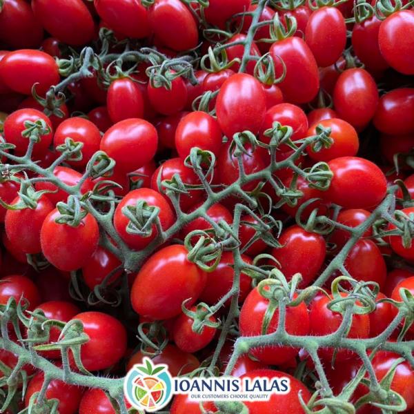 Ιωάννης Λάλας Εμπορία αγροτικών προϊόντων