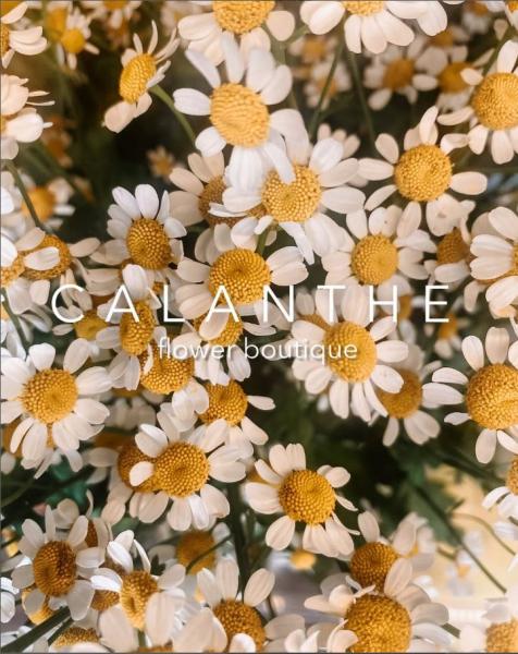 Ανθοπωλείο Calanthe flower boutique, Ίος