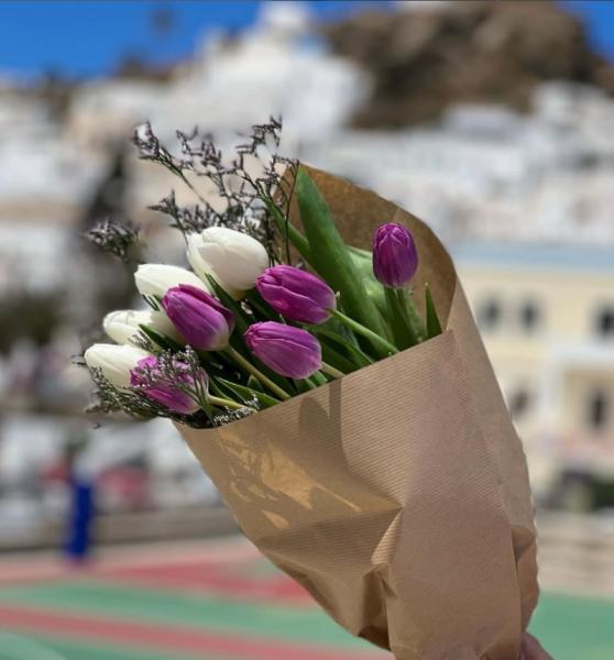 Ίος Ανθοπωλείο Calanthe flower boutique