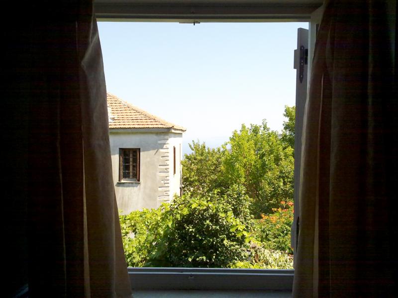 41860.jpg