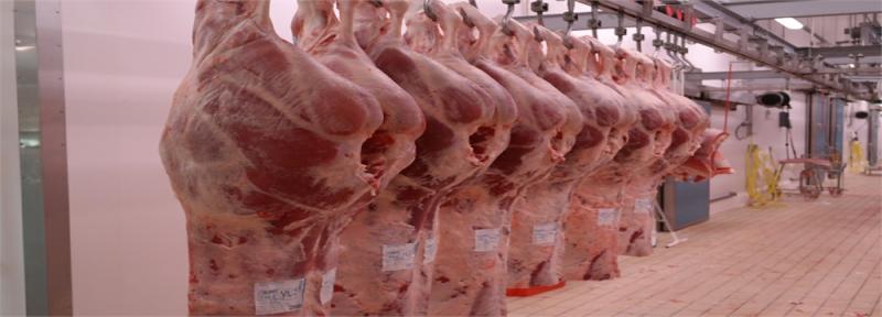 39725.jpgστη θεσσαλονικη εμποριο κρεατων κοριζης