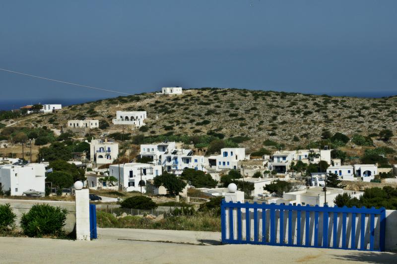 67736.jpg