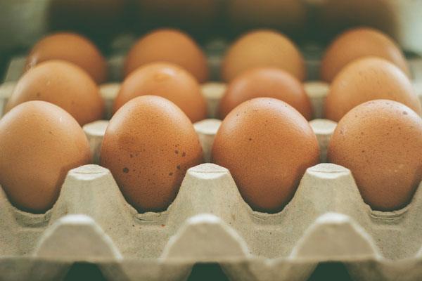 FPG_06-EggsCarton_FeaturedImage