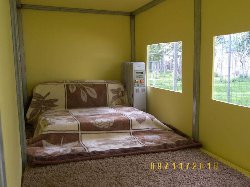 41404.jpg