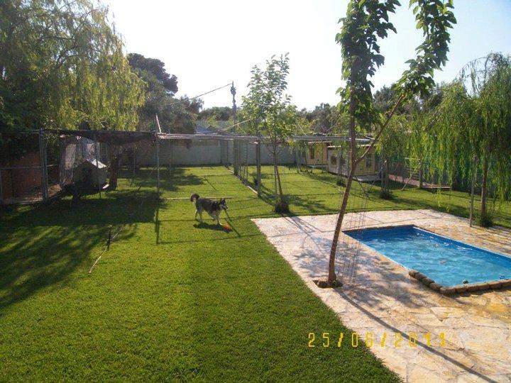 41408.jpg
