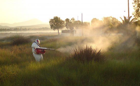 Express Kill Απολυμάνσεις Απεντομώσεις Μυοκτονίες