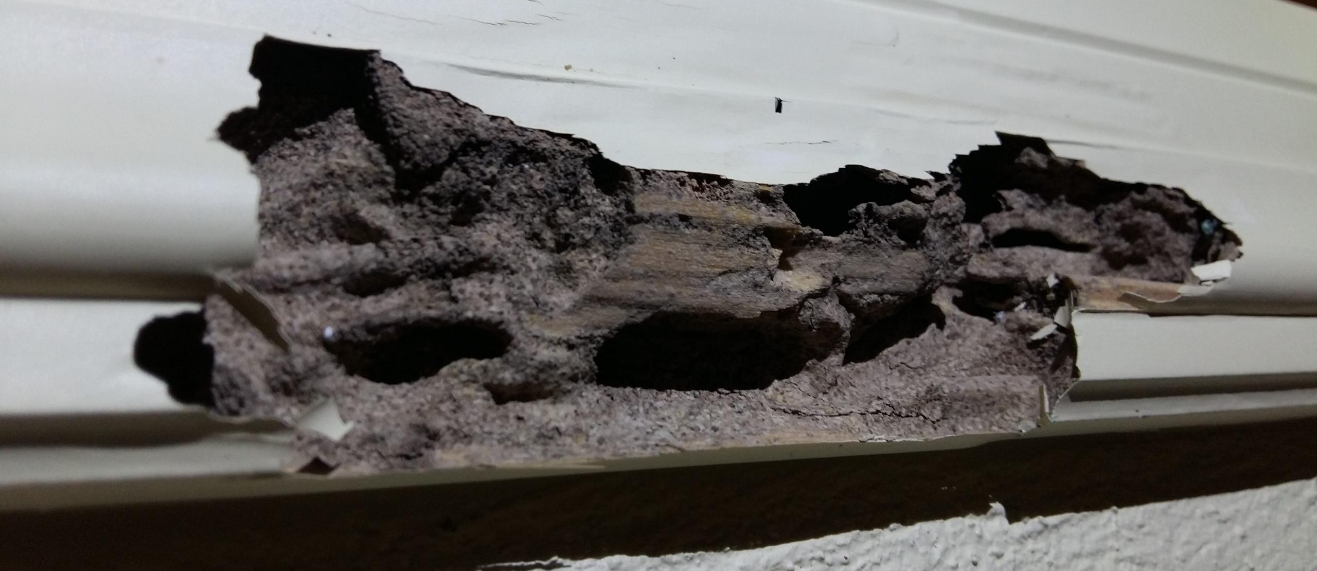 20161019_120627-e1507288251849