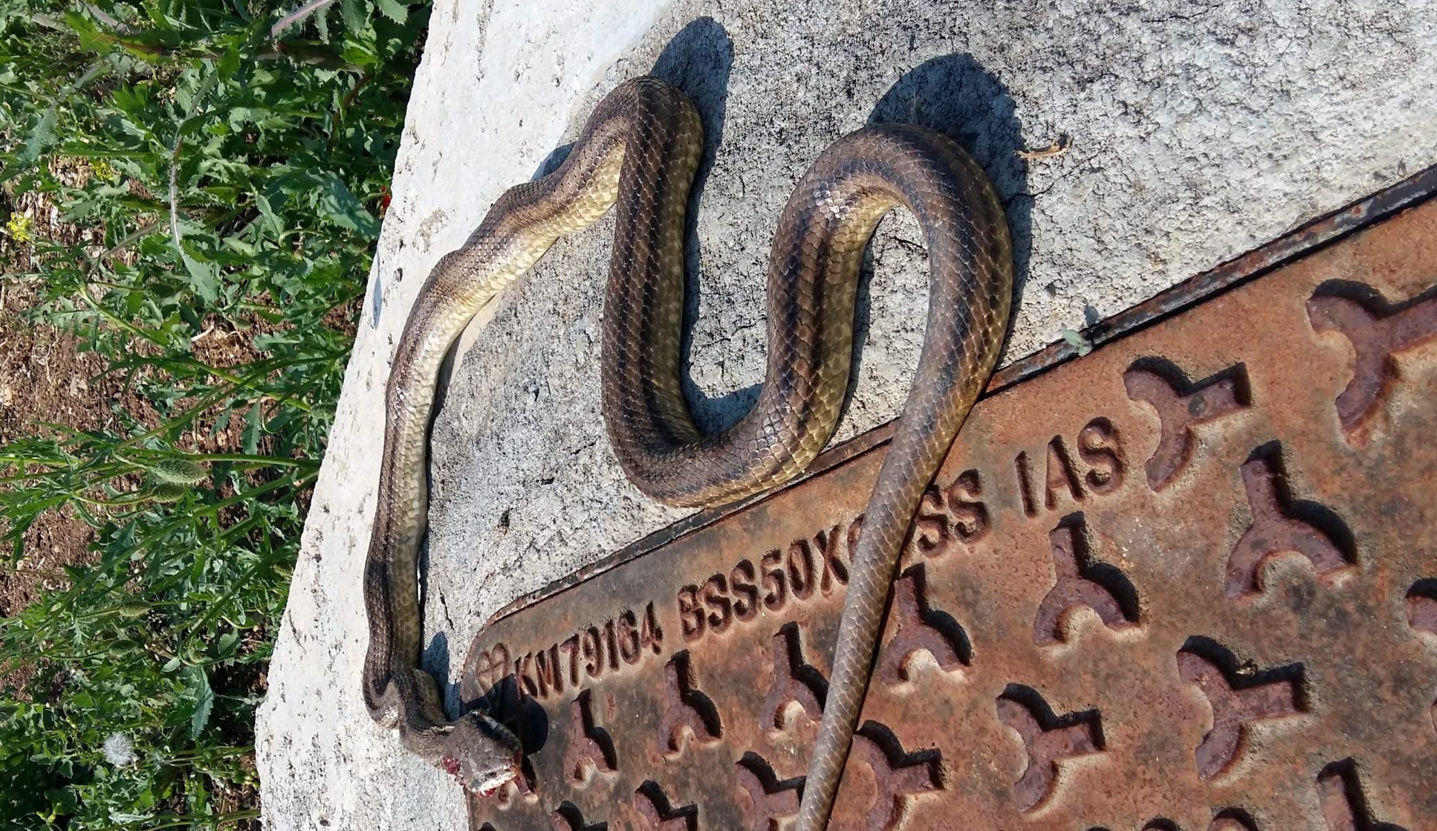 20170412_153412-e1506856872716