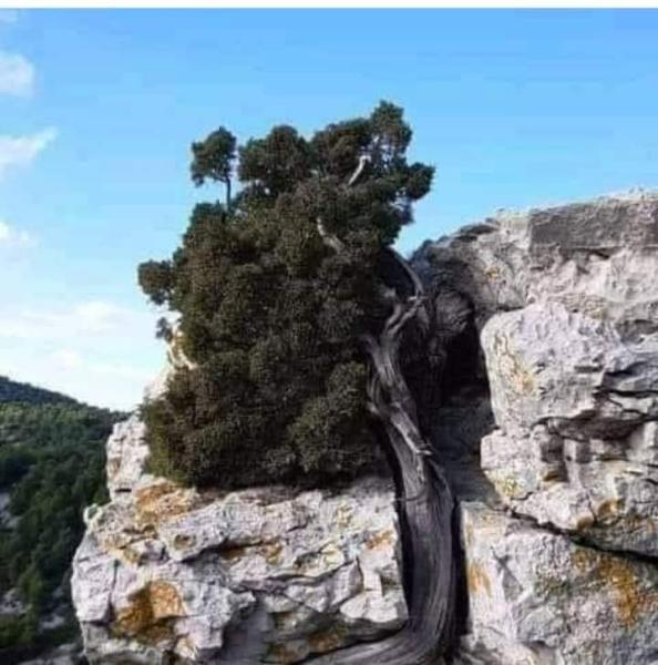 Κουφός Γιάννης Ταξί - Τουριστικά Λεωφορεία - Τουριστικό λεωφορείο - Κάρυστος