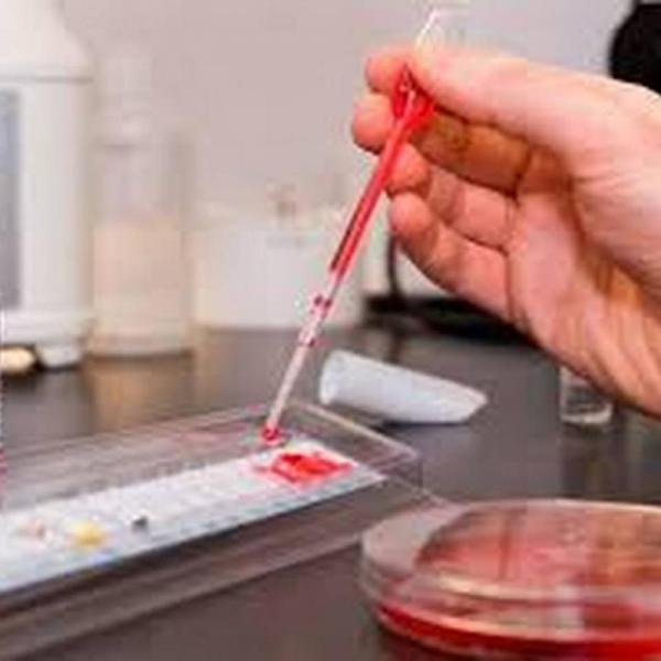 Παπανικολάου Νικόλαος Ιατρικό μικροβιολογικό Εργαστήριο