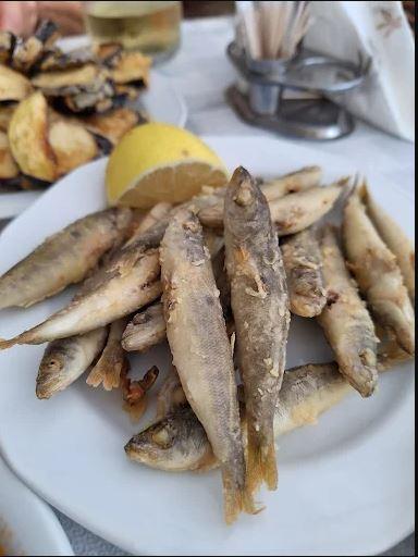 ΑΓΚΙΣΤΡΙ Χανιά. Εστιατόριο Ταβέρνα