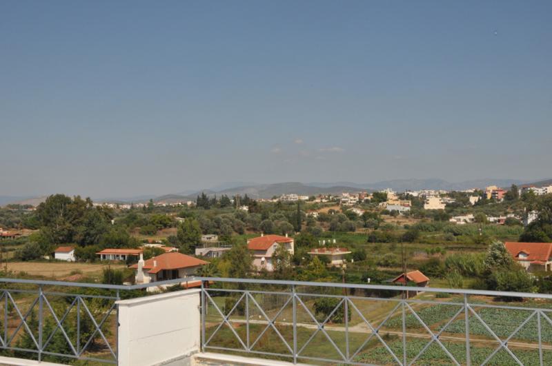 52310.jpg