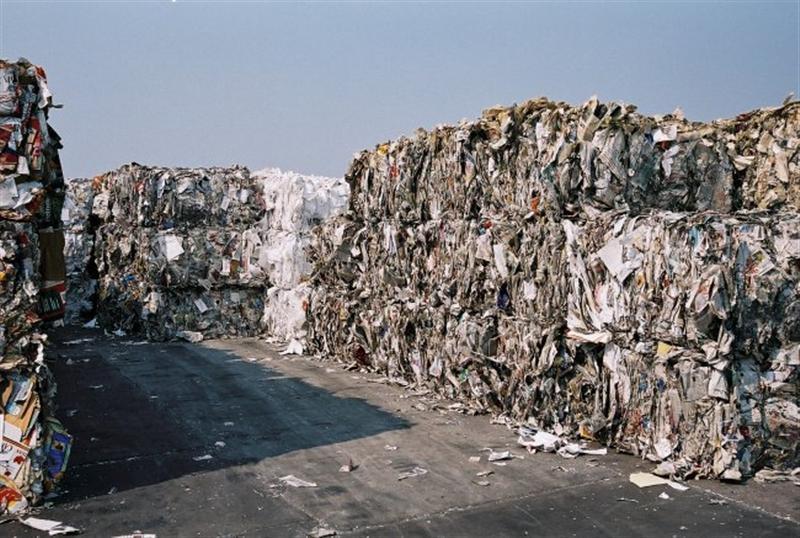 52777.jpg