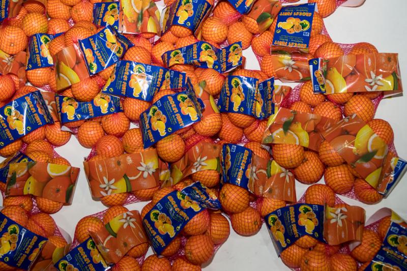 56776.jpg