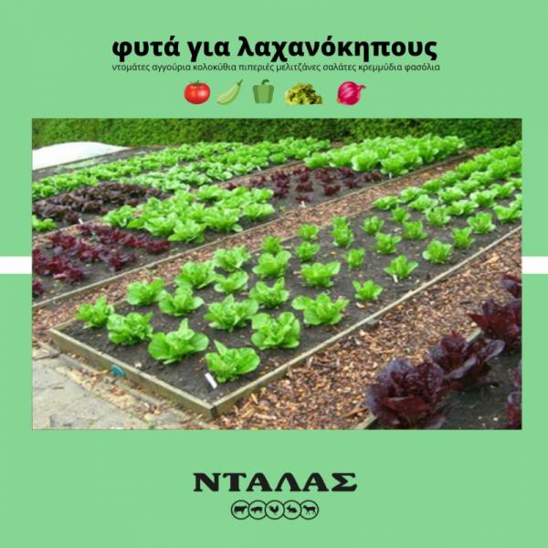 Provida Αγροτικά είδη