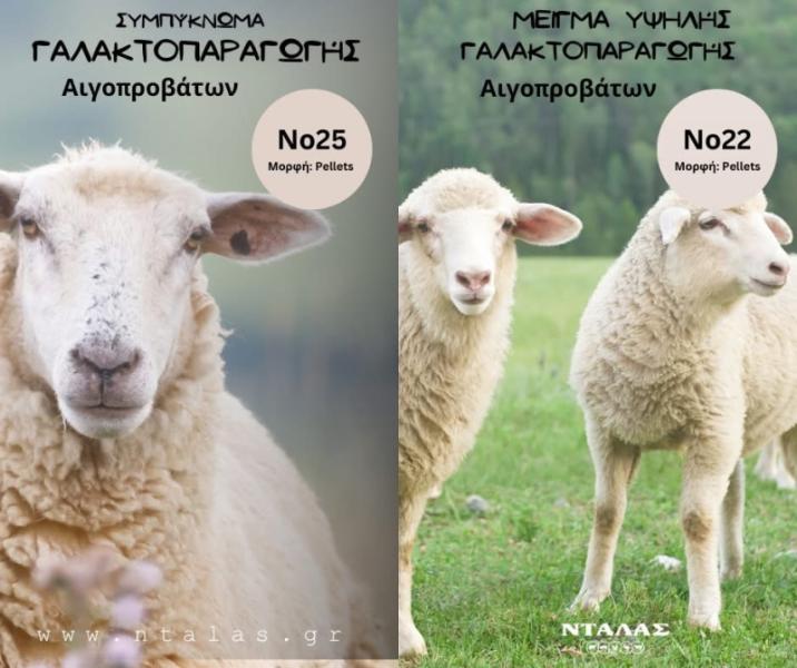 Provida - Αγροτικά είδη - Πρέβεζα