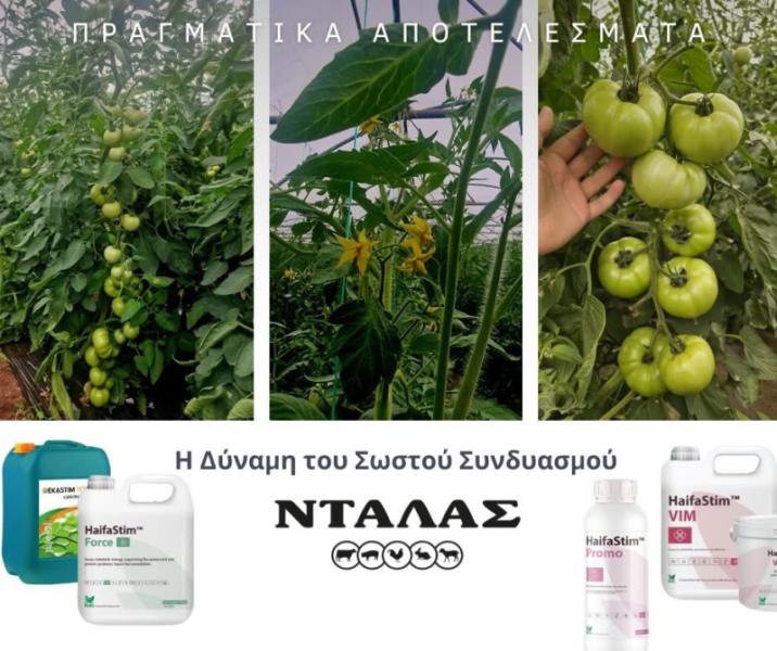 Provida - Αγροτικά είδη - Πρέβεζα