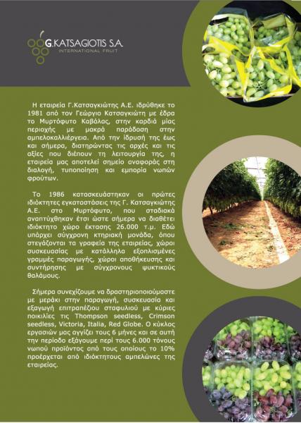 International fruit Εμπόριο φρούτων λαχανικών
