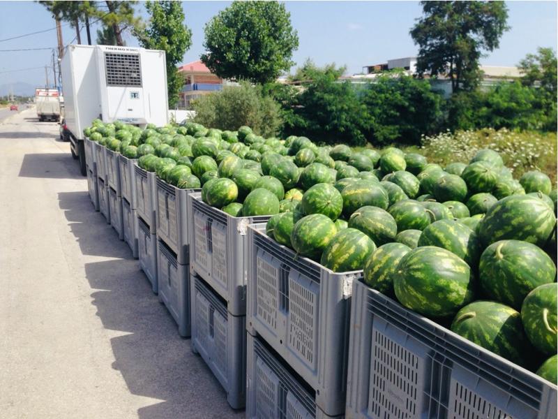 ΓΚΟΠΗΣ ΚΩΝΣΤΑΝΤΙΝΟΣ Χονδρικό εμπόριο οπωροκηπευτικών