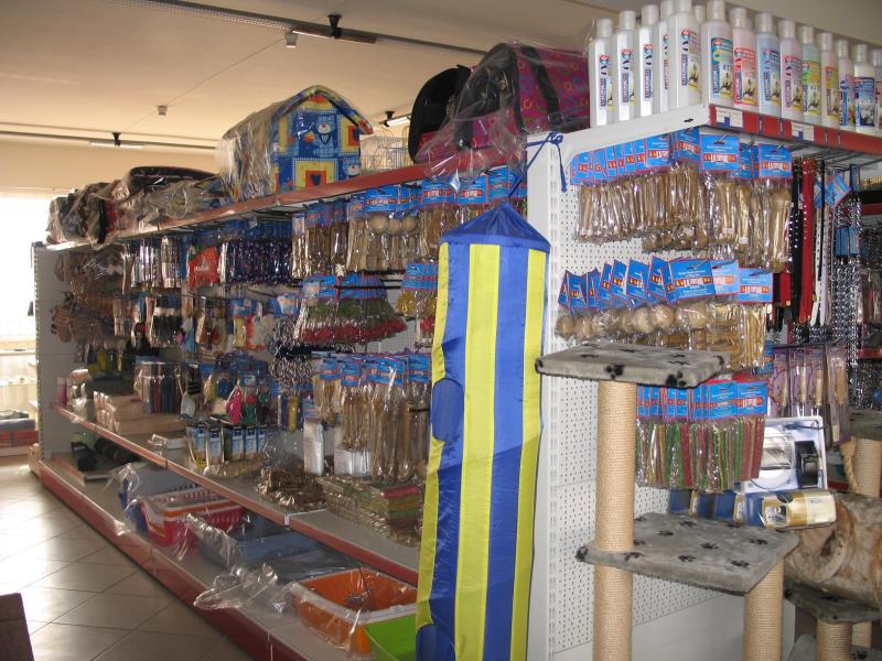 65464.jpg