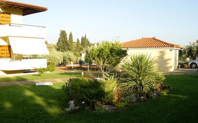 66849.jpg