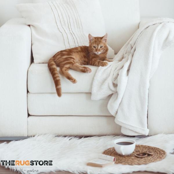 The Rug Store Μοκέτες Χαλιά