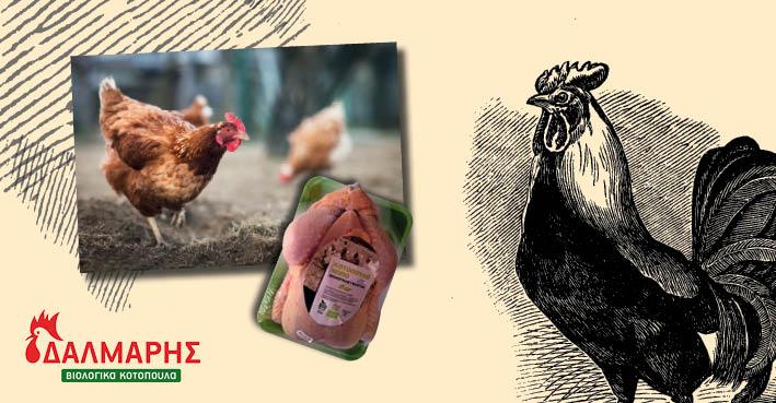 Κοτόπουλα Δάλμαρης ΑΕ - Πτηνοτροφείο - Τρίπολη