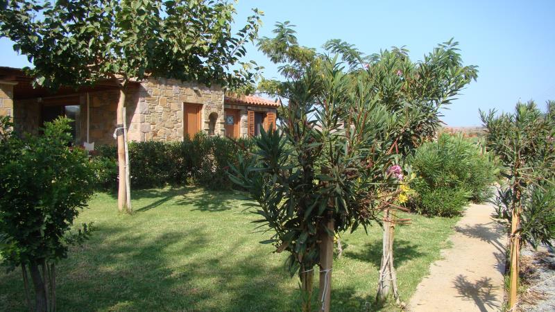 DSC01220