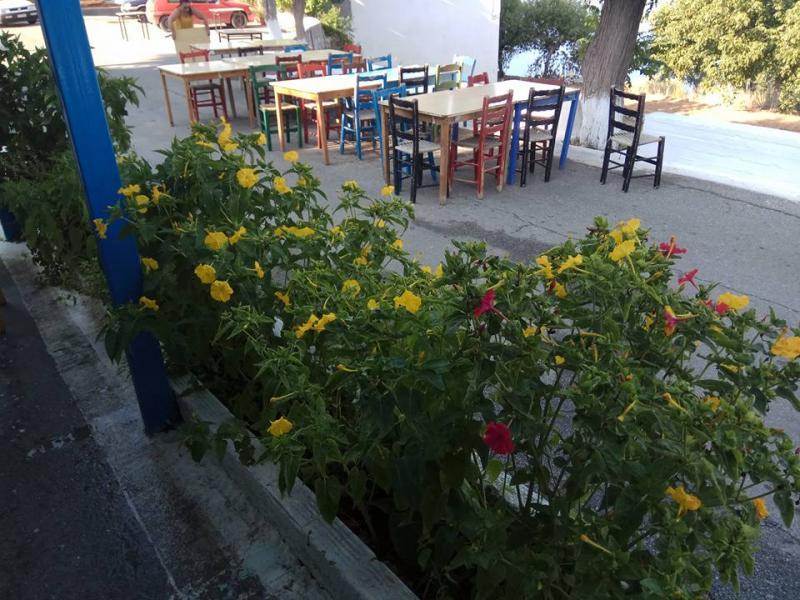 Ίριδα - Ταβέρνα - Σάμος