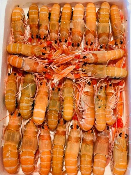 Εμπόριο ψαριών Αφοι Λαζαρίδη (Aktio Sea Garden)