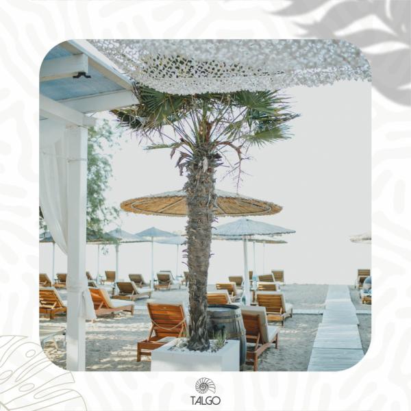 Talgo Beach bar - Beach Bar - Άγιος Νικόλαος