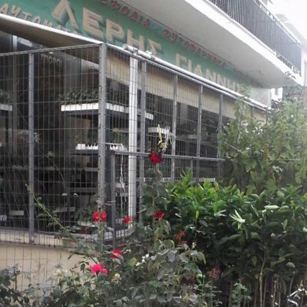 Λέρης Ιωάννης Γεωργικά είδη