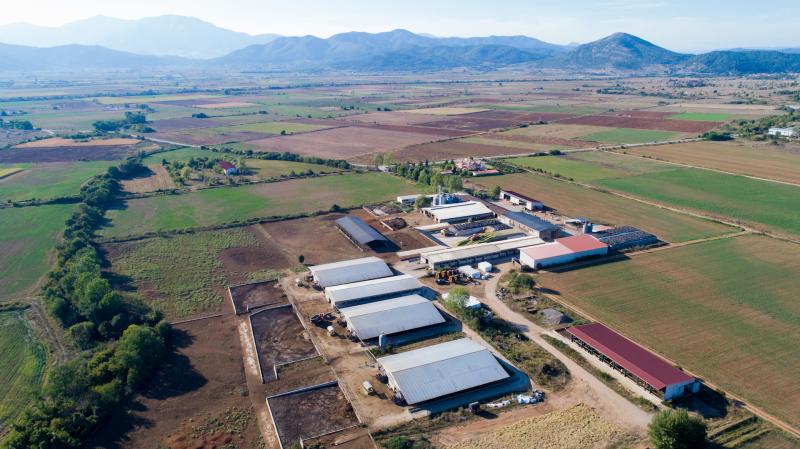 ΝΕΟΓΑΛ ΑΕ Παραγωγή γαλακτοκομικών προϊόντων Δράμα