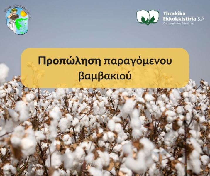 Θρακική Σποροπαραγωγή Γεωργικά εφόδια Σπόροι Αλεξανδρούπολη
