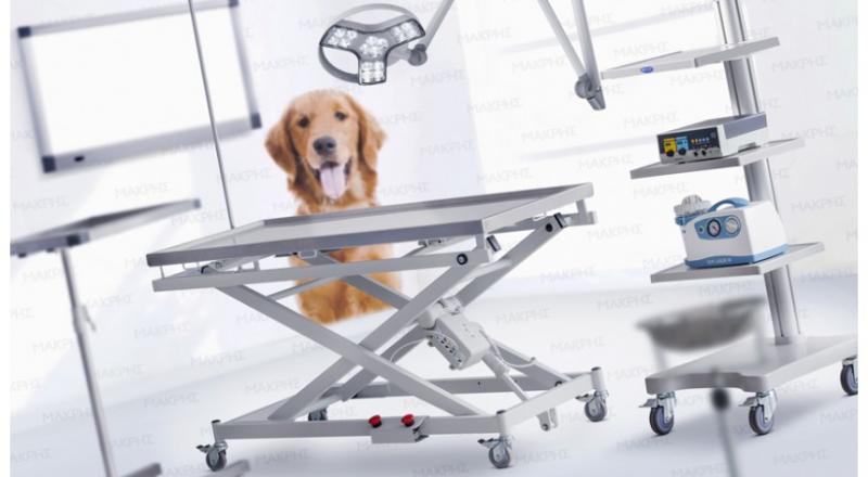 Queen's vet veria (Φωτεινή Τσιτινιδου), Κτηνιατρείο Petshop Βέροια